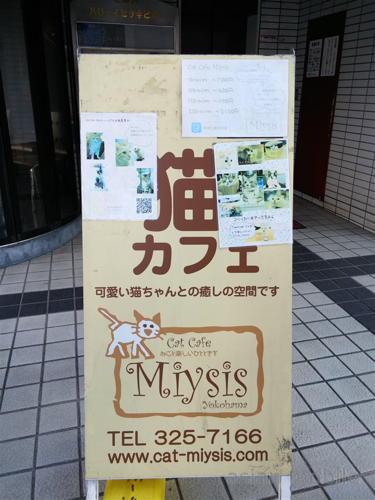 横浜関内にある猫カフェ ミーシス でぬくぬくのホットカーペット アジア旅行とモバイルとネコの情報サイト