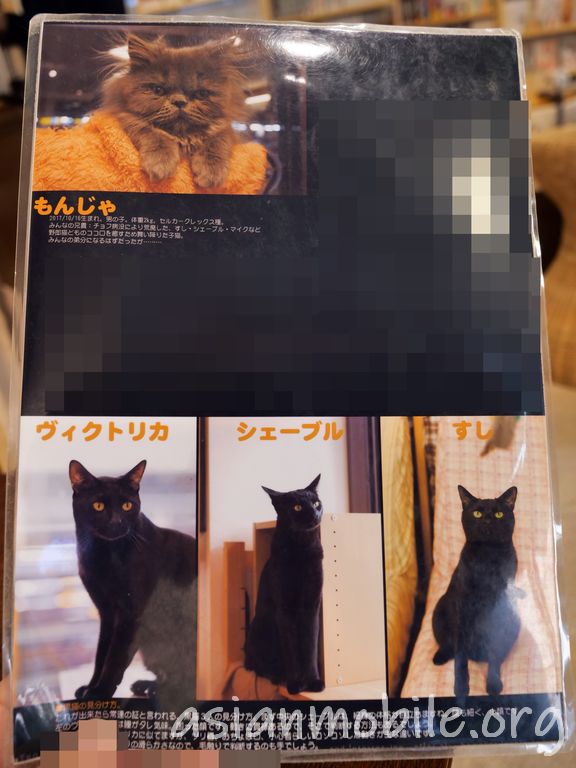 猫カフェ ねこのみせ 東京町田 アジア旅行とモバイルとネコの情報サイト